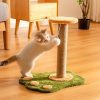 cat scratch post