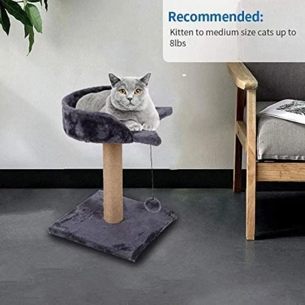 Cat Scratching Post