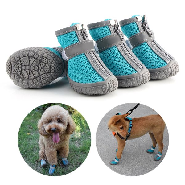 Dog Shoes