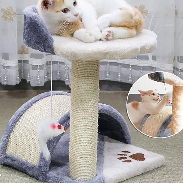 Cat Scratching post tree Climbing