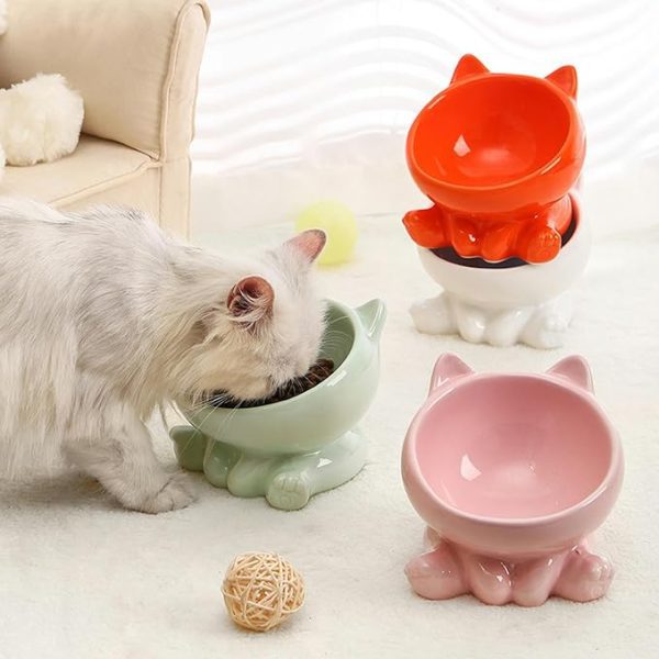 cat food bowl